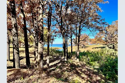 Lot 52 Paradise Cove, Streetman, TX 75859 - Photo 33