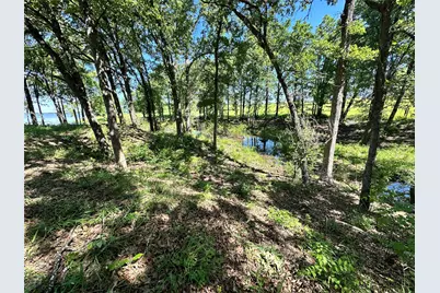 Lot 52 Paradise Cove, Streetman, TX 75859 - Photo 15