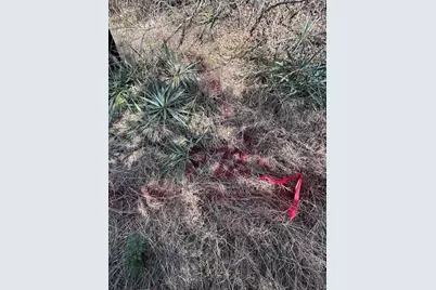 1272 Paint Brush Court, Whitney, TX 76692 - Photo 15