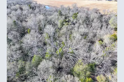 34744 Fm 47, Mabank, TX 75103 - Photo 13