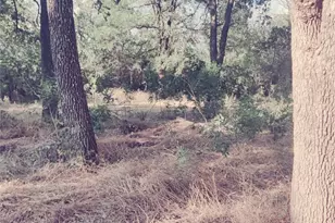 3180 Old Brock Rd, Weatherford, TX 76087 - Photo 1