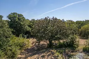 7513 Hwy 34, Wolfe City, TX 75496 - Photo 11