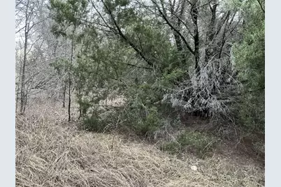 36021 Cedar Ridge Drive, Whitney, TX 76692 - Photo 19