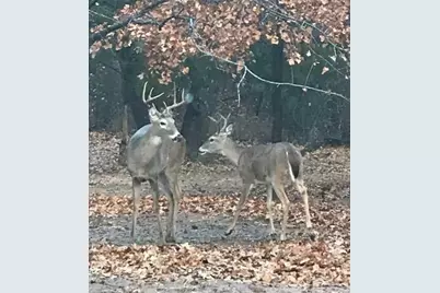 139 Chisholm Trail, Nocona, TX 76255 - Photo 25
