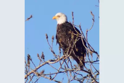 122 Comanche Trail, Nocona, TX 76255 - Photo 35