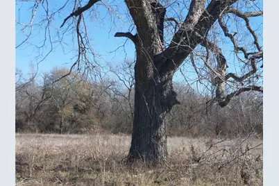 590 Pr 370 Road, Hubbard, TX 76648 - Photo 9