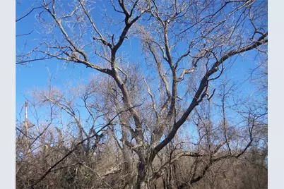 590 Pr 370 Road, Hubbard, TX 76648 - Photo 11