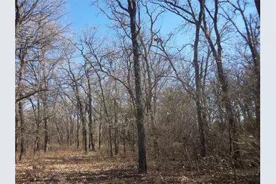 590 Pr 370 Road, Hubbard, TX 76648 - Photo 21