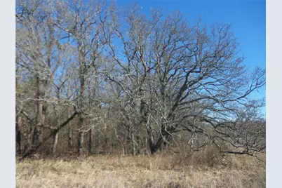 590 Pr 370 Road, Hubbard, TX 76648 - Photo 7