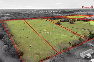 00B County Road 2913, Eustace, TX 75124 - Photo 1