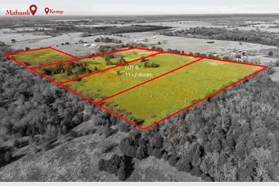 00B County Road 2913, Eustace, TX 75124 - Photo 5