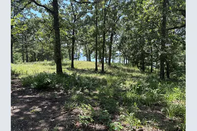 Tbd Indian Gap Road, Quitman, TX 75783 - Photo 13