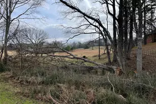 101 Cr 3504, Bullard, TX 75757 - Photo 9