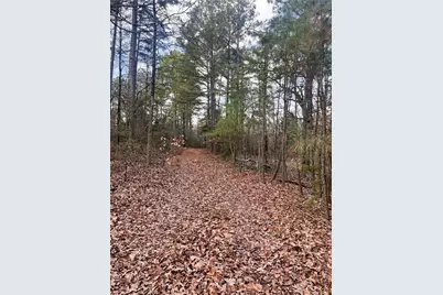000 Private Road 8000, Winnsboro, TX 75494 - Photo 5