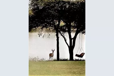 1434 Lakeside Trail, Whitney, TX 76692 - Photo 19