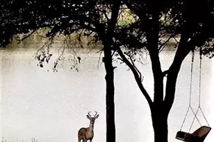 1434 Lakeside Trail, Whitney, TX 76692 - Photo 19