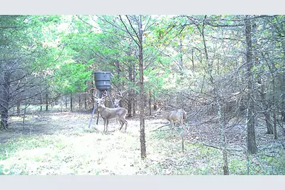 6259 State Highway 34 S, Quinlan, TX 75474 - Photo 35