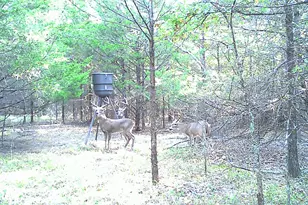 6259 State Hwy 34 S, Quinlan, TX 75474 - Photo 35