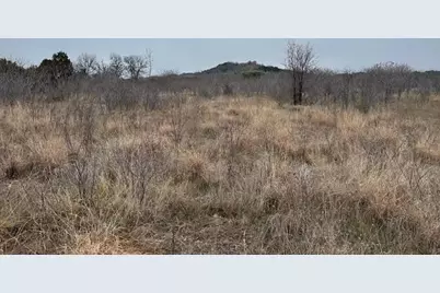 2008 Canyon Wren Loop, Graford, TX 76449 - Photo 5