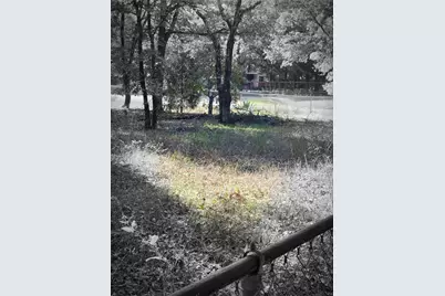 0 Lost Forest Road, Gun Barrel City, TX 75156 - Photo 7