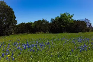 Lot 37 Royal Winchester Dr, Cleburne, TX 76033 - Photo 1