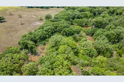 0 Fm 314, Brownsboro, TX 75756 - Photo 13