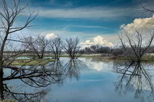 353 Private Rd 1767, Chico, TX 76431 - Photo 11