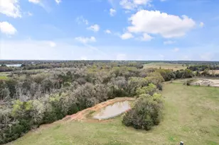 230 Co Rd 141, Streetman, TX 75859 - Photo 29