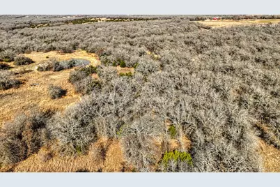 1150 Dps Tower Road #Lot 50, Perrin, TX 76486 - Photo 3