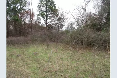 Tbd Rains County Road 3040, Emory, TX 75440 - Photo 5