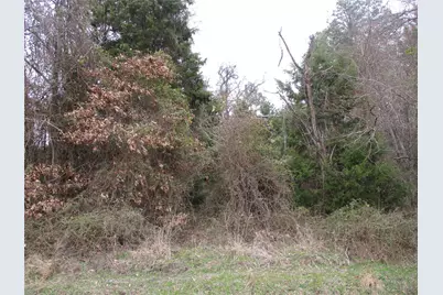 Tbd Rains County Road 3040, Emory, TX 75440 - Photo 1