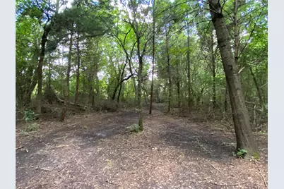 2774 County Road 658, Farmersville, TX 75442 - Photo 9