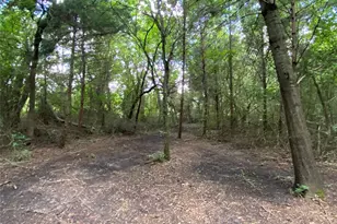 2774 Co Rd 658, Farmersville, TX 75442 - Photo 9