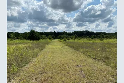 2774 County Road 658, Farmersville, TX 75442 - Photo 5