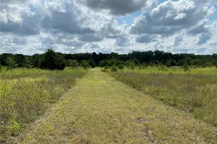 2774 Co Rd 658, Farmersville, TX 75442 - Photo 5