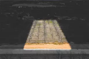 1118 E Landings N, Granbury, TX 76049 - Photo 1