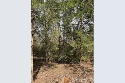 Lots 316 & 317 Brazos Bend, Holly Lake Ranch, TX 75765 - Photo 7