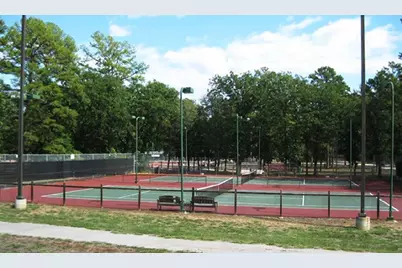 Lots 316 & 317 Brazos Bend, Holly Lake Ranch, TX 75765 - Photo 17