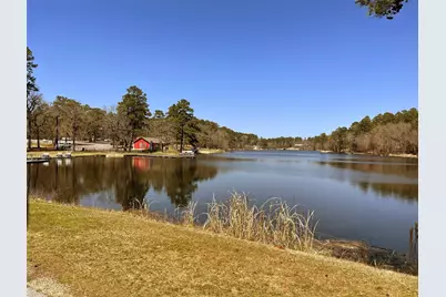 Lots 316 & 317 Brazos Bend, Holly Lake Ranch, TX 75765 - Photo 19