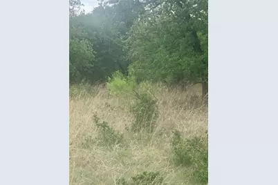 277 Vista Pointe Drive, Chico, TX 76431 - Photo 3