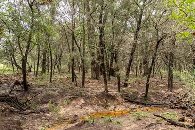 T4 Coleman Ranch Road, Tolar, TX 76476 - Photo 17