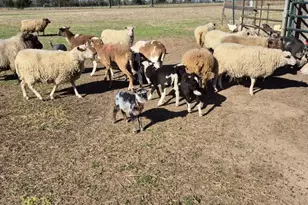 274 Cr 3230 SW, Winnsboro, TX 75494 - Photo 25