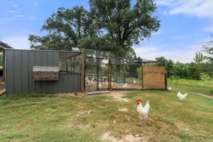 274 Cr 3230 SW, Winnsboro, TX 75494 - Photo 15