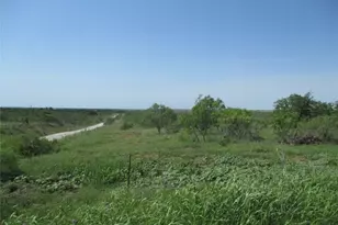 Tr 4 Boren, Ringgold, TX 76241 - Photo 1