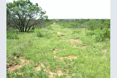 Tr 4 Boren, Ringgold, TX 76241 - Photo 7