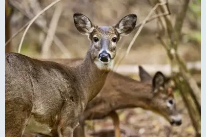 Tbd Fm 1171, Flower Mound, TX 75022 - Photo 25