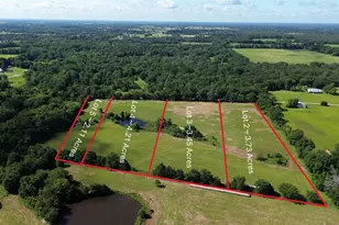 Lot 2 Rains Cr1140 Rd, Emory, TX 75440 - Photo 1