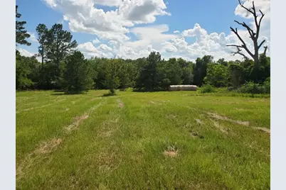 Lot 2 Rains Cr1140 Road, Emory, TX 75440 - Photo 5