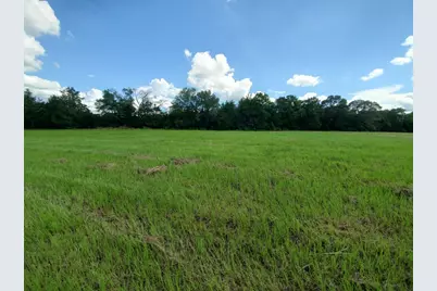 Lot 4 Rains Cr1140 Road, Emory, TX 75440 - Photo 5