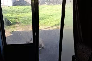 7801 Conn Dr, North Richland Hills, TX 76180 - Photo 31